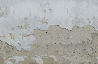 a bird is perched on a wall with peeling paint