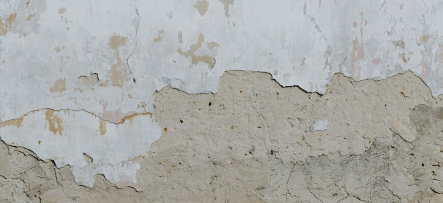 a bird is perched on a wall with peeling paint