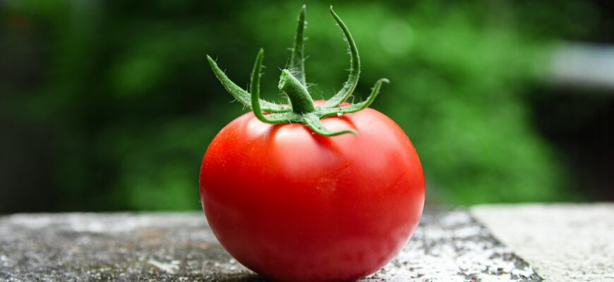 red tomato on gray concrete surface